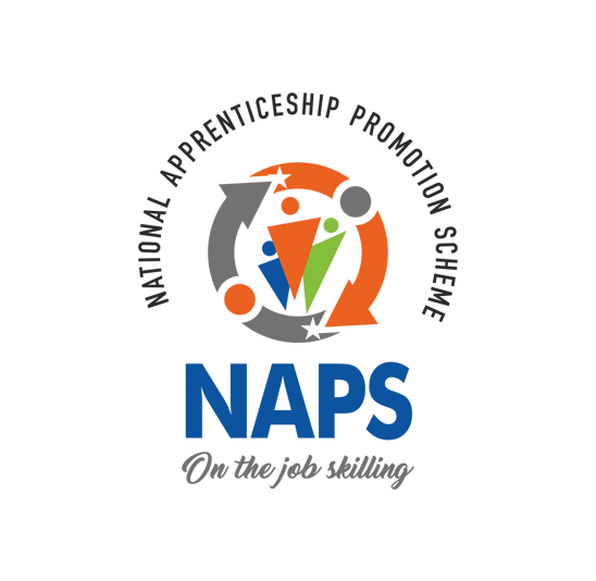 National Apprenticeship Promotion Scheme